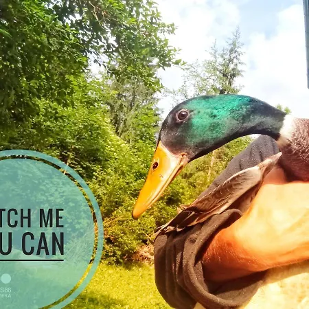 Apartamento Haus Grubbach Spital Am Pyhrn