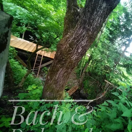 Haus Grubbach Apartamento