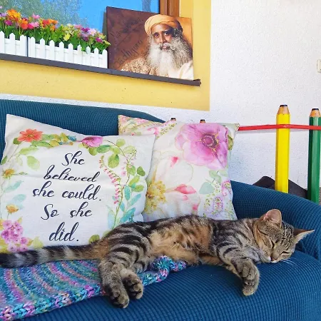 Apartamento Haus Grubbach *