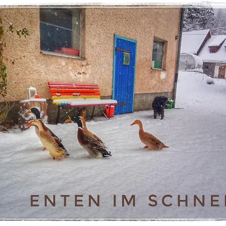 Haus Grubbach Spital Am Pyhrn