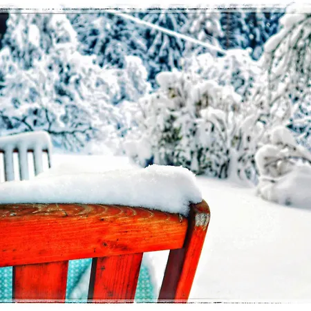 Apartamento Haus Grubbach Spital Am Pyhrn