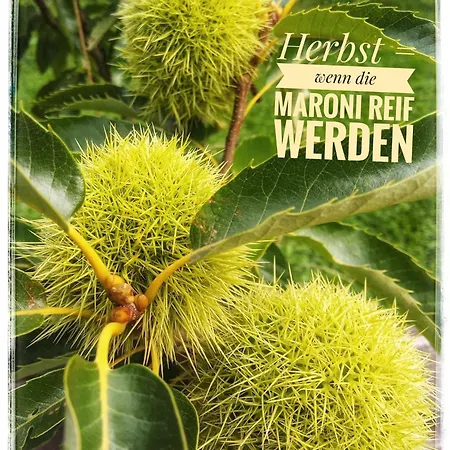 Haus Grubbach Apartamento Spital Am Pyhrn