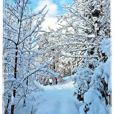 Haus Grubbach Appartamento