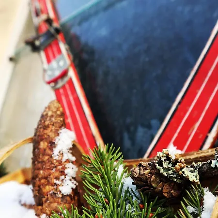 Haus Grubbach Spital Am Pyhrn