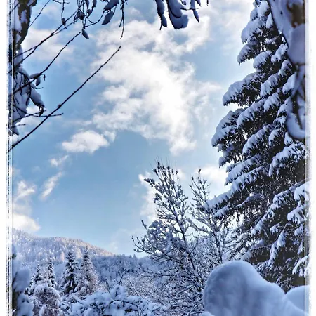 Appartamento Haus Grubbach *