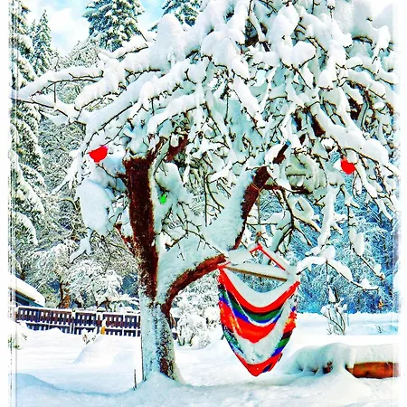 Haus Grubbach * Spital Am Pyhrn