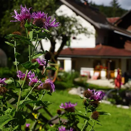 Lägenhet Haus Grubbach