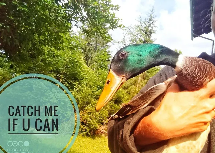 Daire Haus Grubbach Spital Am Pyhrn