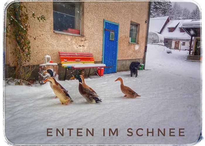 Haus Grubbach Spital Am Pyhrn