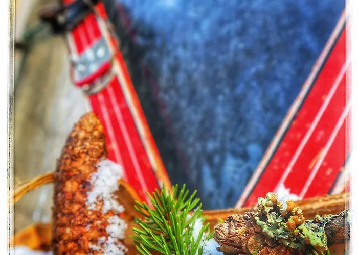 Haus Grubbach * 皮恩山口附近施皮塔尔