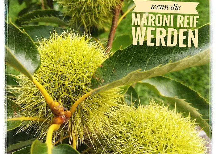 Haus Grubbach Daire Spital Am Pyhrn