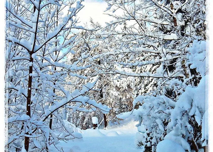 Haus Grubbach Apartment