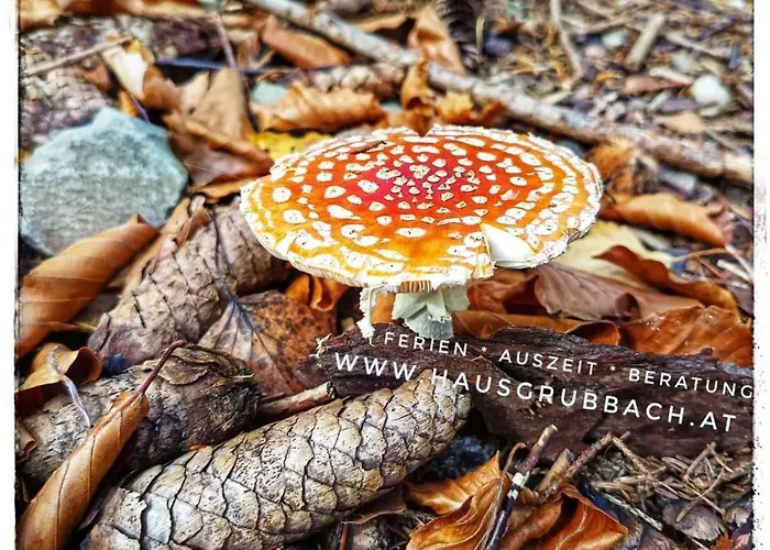 Haus Grubbach Apartmán Spital Am Pyhrn