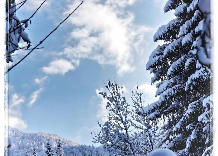 Apartmán Haus Grubbach *