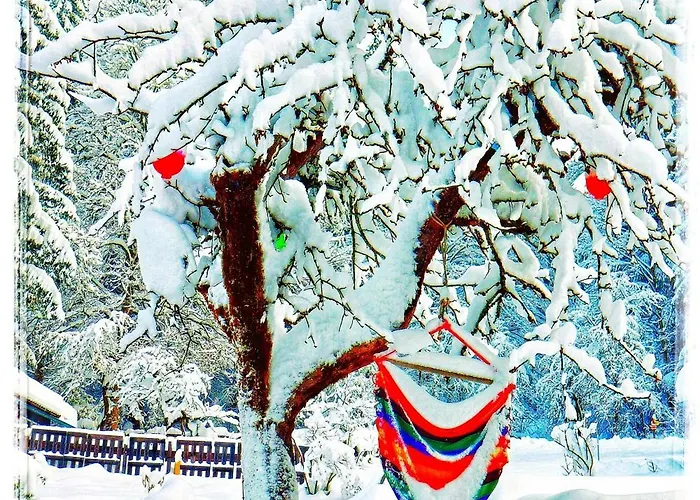 Haus Grubbach * Spital Am Pyhrn