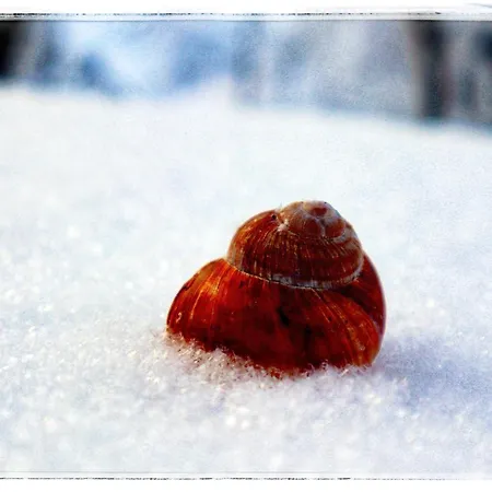 Apartament Haus Grubbach *