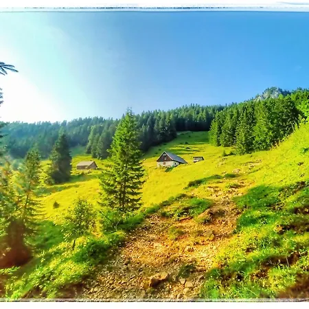 Haus Grubbach Apartament *