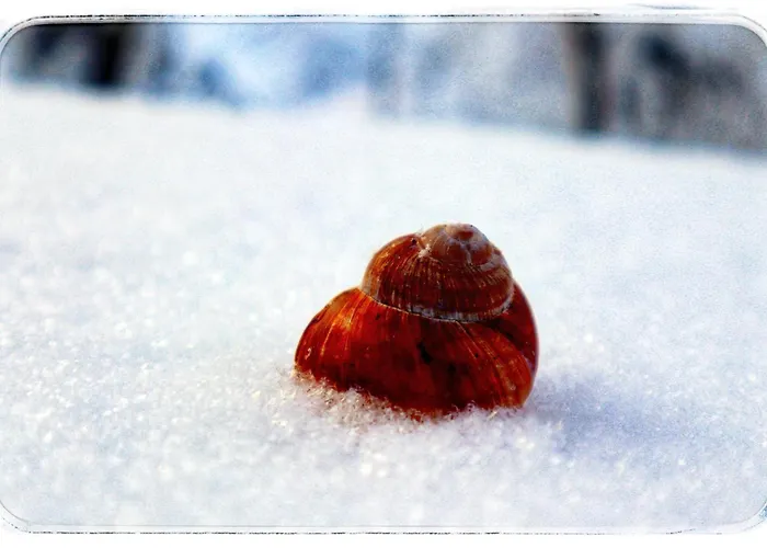 Apartament Haus Grubbach *